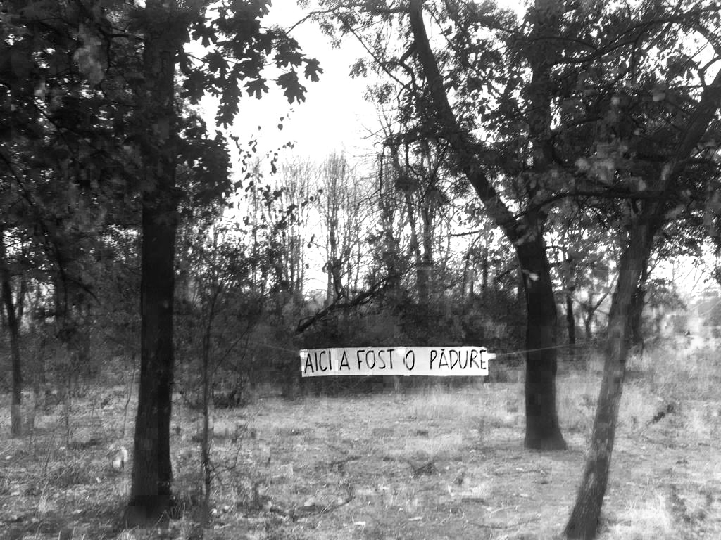aici a fost o padure