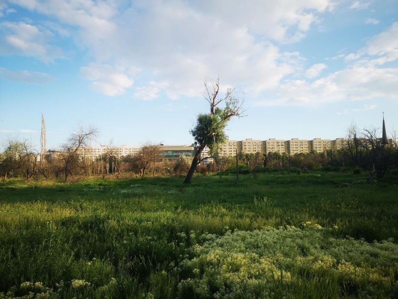 ÎNTÂLNIRI ÎN IOR #2: CE ÎNVĂȚAM DE LA NATURA CELOR 12 ha RETROCEDATE DIN PARCUL&nbsp;IOR