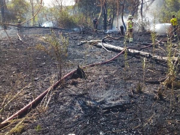 28 iulie 2024 – PROTEST Ne vrem parcul&nbsp;inapoi!