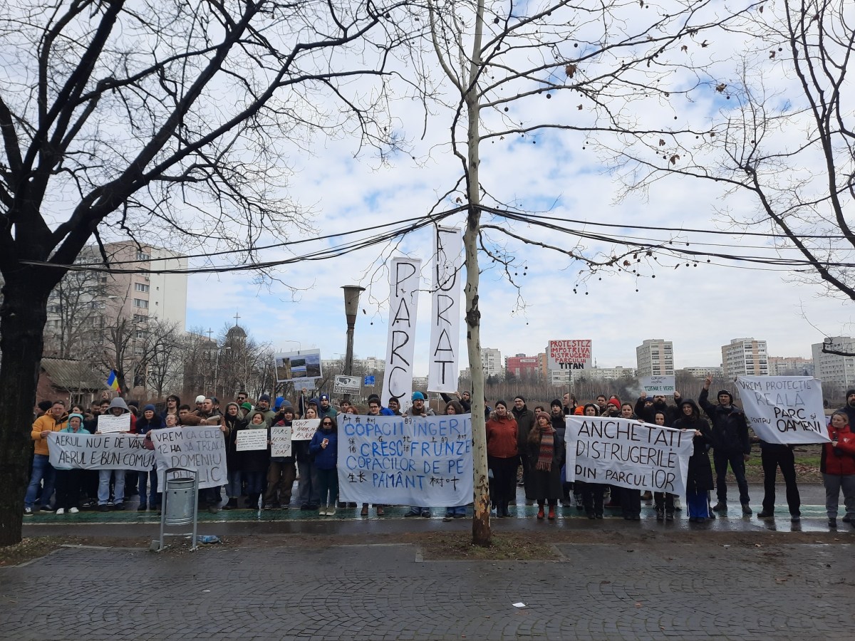 2 martie 2025 – DREPTATE PENTRU OAMENI SI COPACI. PROTEST IN&nbsp;IOR